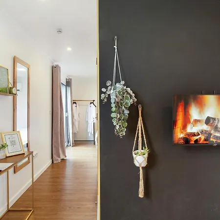 Shelter - Apartment *