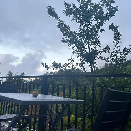 Shelter - * Santana (Madeira)